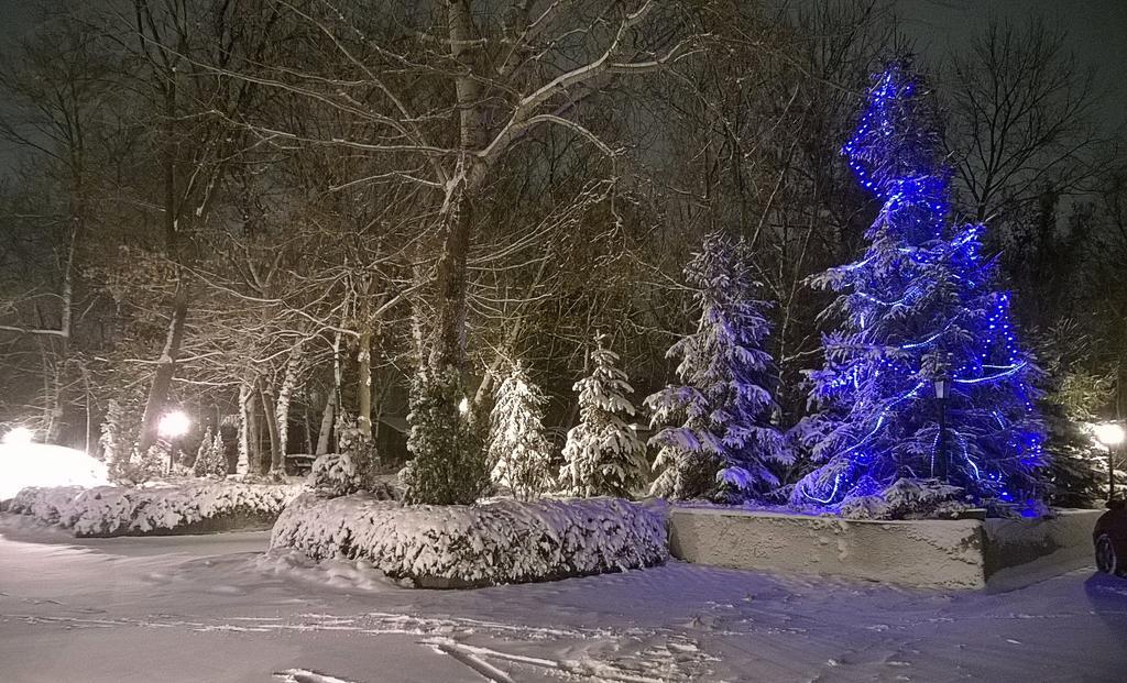 Villa Forest Belgrad Exteriör bild