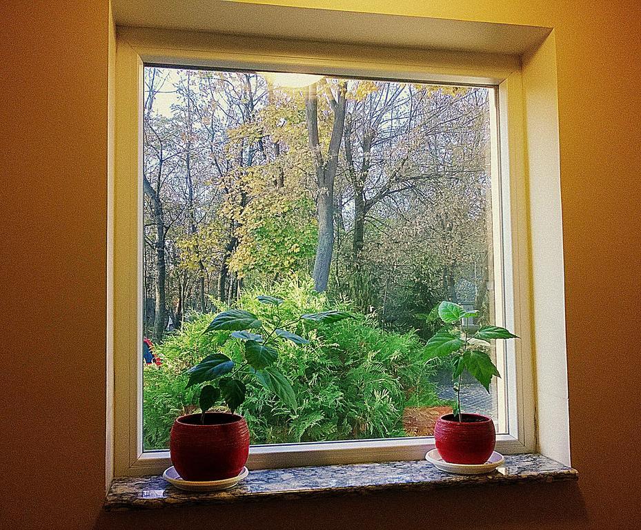Villa Forest Belgrad Exteriör bild
